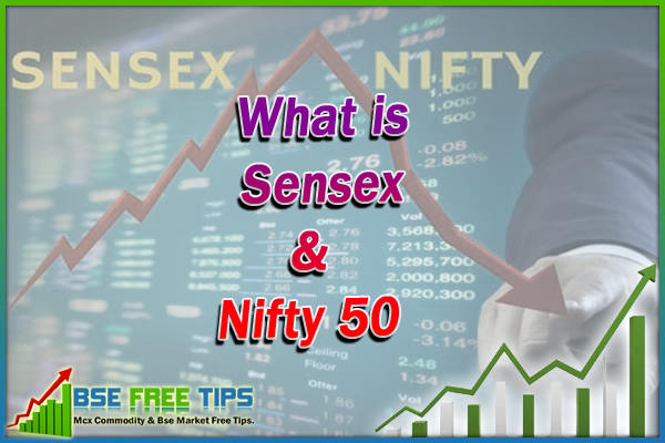 What is Sensex and Nifty 50